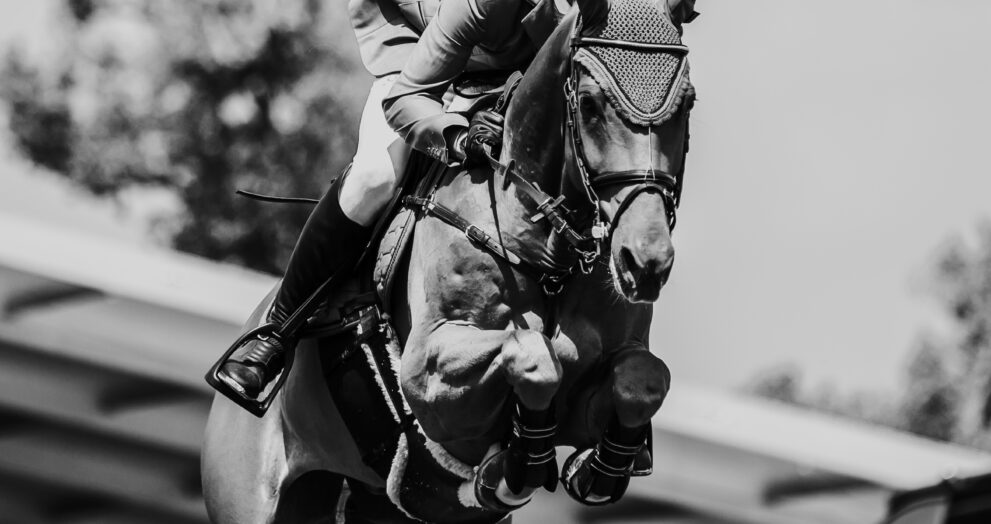 Soldier In Milan wins the Irish Grand National