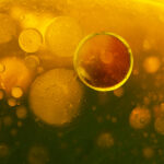 The worst foods for your gut health