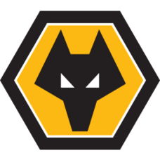 Wolverhampton Wanderers History